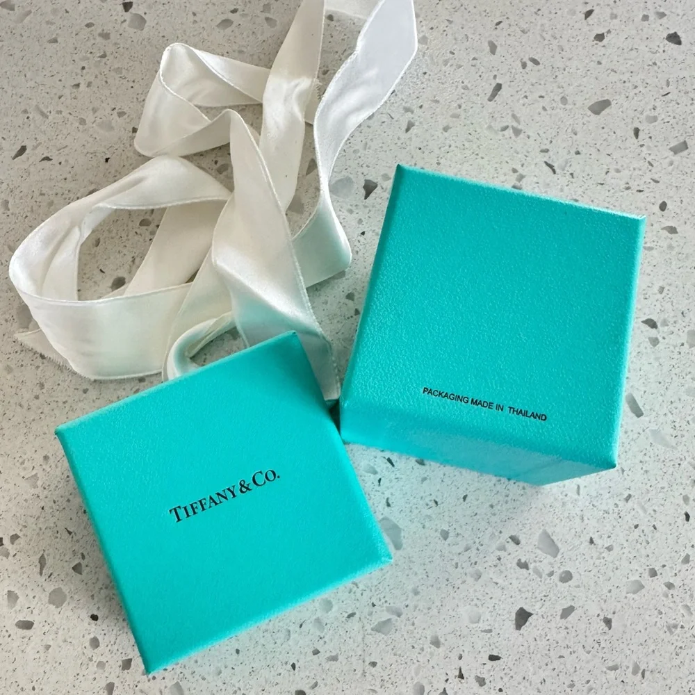Tiffany and Co Gift Box 2”